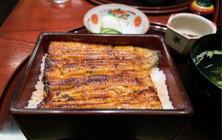 Grilled Eel Food Poisoning Incident in Yokohama Leaves Over 140 Sick