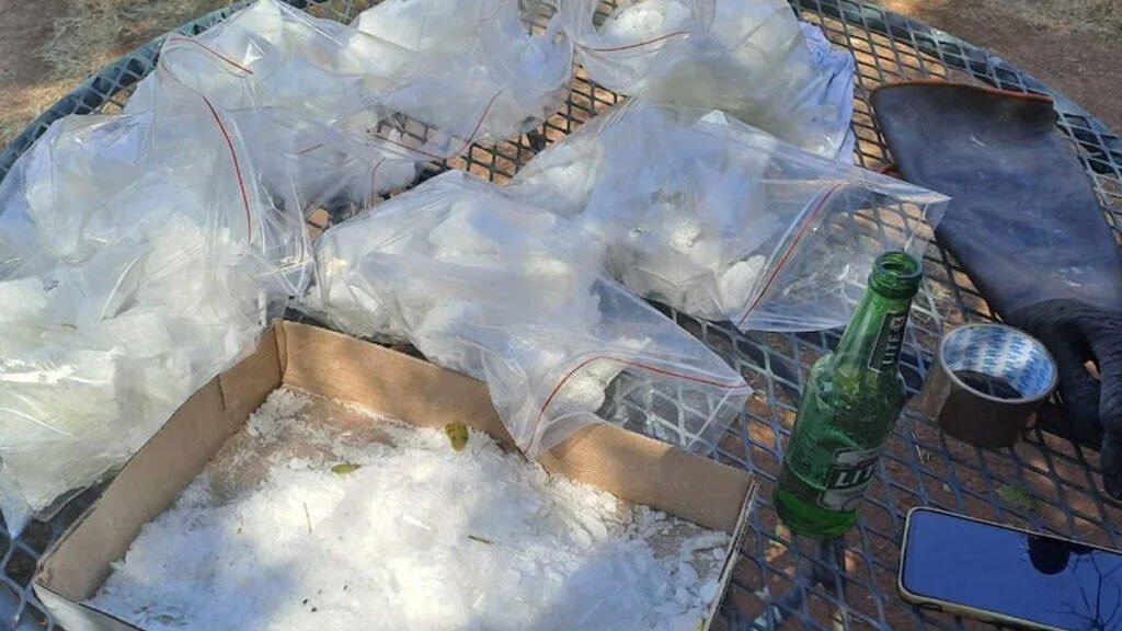 South African Police Uncover Multimillion-Dollar Meth Lab on Farm