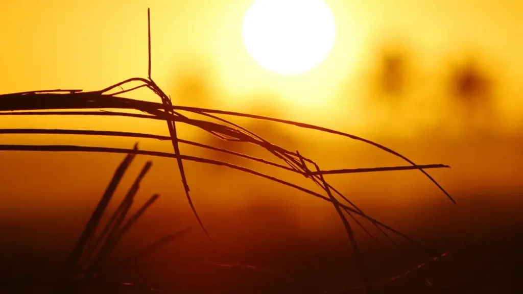 Nearly Half a Billion Children Endure Double the Global Extreme Heat Days Compared to Grandparents, Warns UN