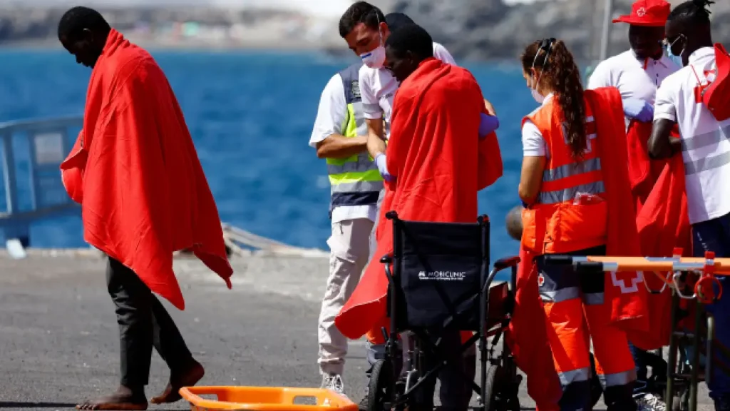 20,000 Litres of Diesel On Board Ship Carrying Cargo That Sinks Off Greenland's Coast