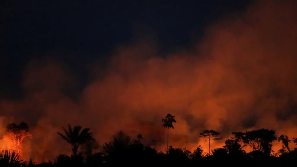 Amazon Rainforest Fires Surge Highest August Numbers Since 2010 Amid Record Drought