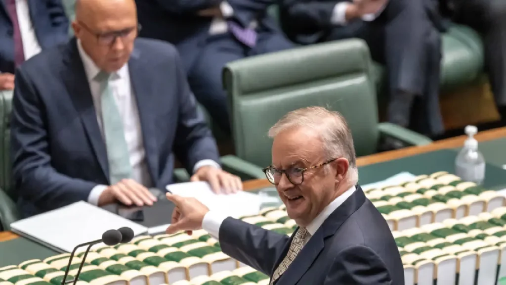 PM Albanese addressing Parliament after making an insensitive comment.