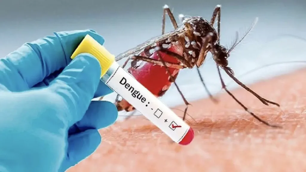 dengue outbreak in Rawalpindi