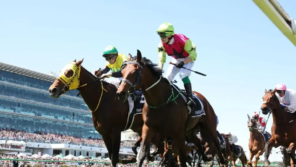 Jockey Robbie Dolan celebrating Melbourne Cup win