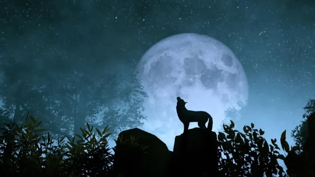 Wolf Moon, January 2025 full moon, cultural significance of the Wolf Moon, Wolf Moon and Mars occultation, celestial events January 2025, astronomy Wolf Moon, stargazing tips